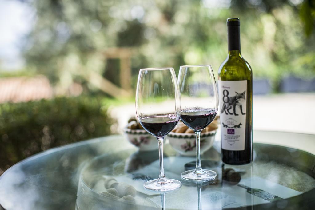 Agriturismo Le Volpi Baone Экстерьер фото