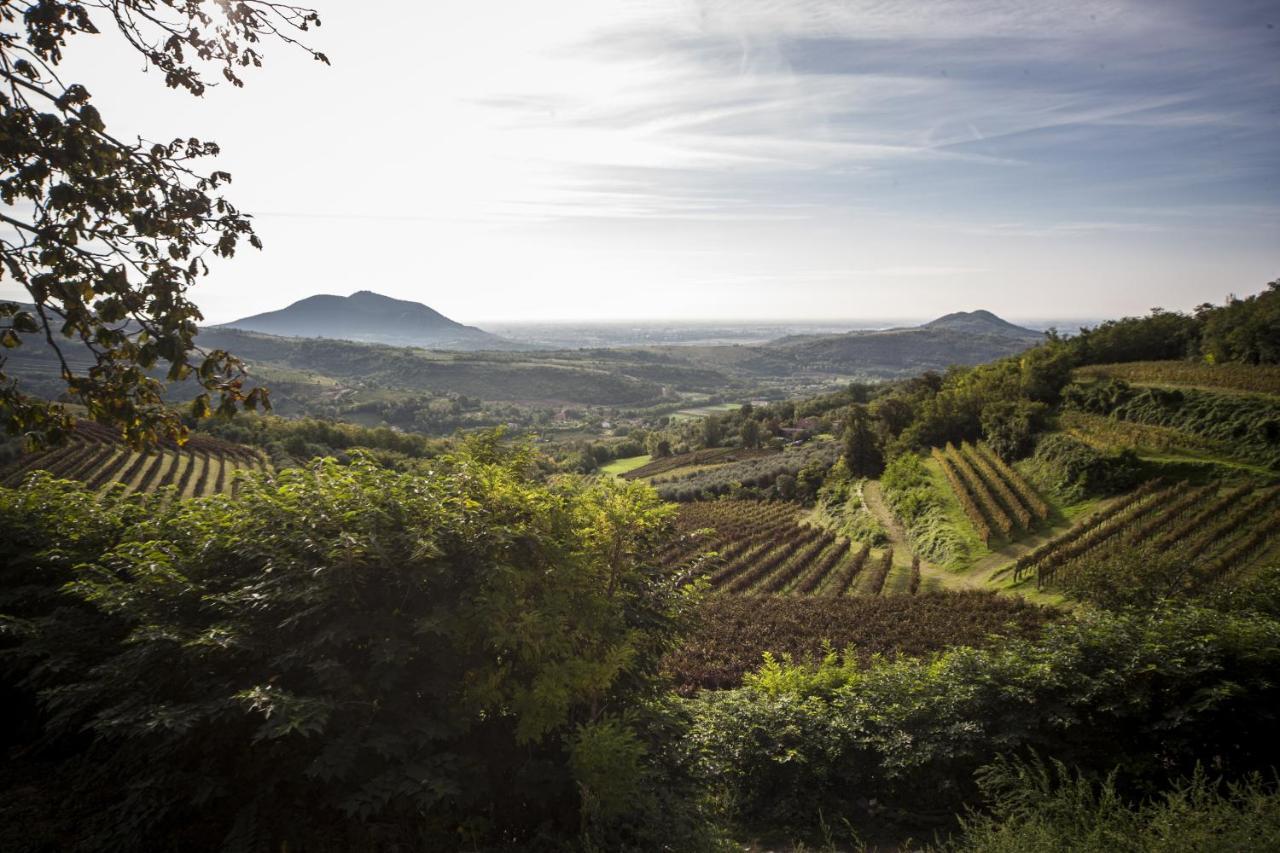 Agriturismo Le Volpi Baone Экстерьер фото